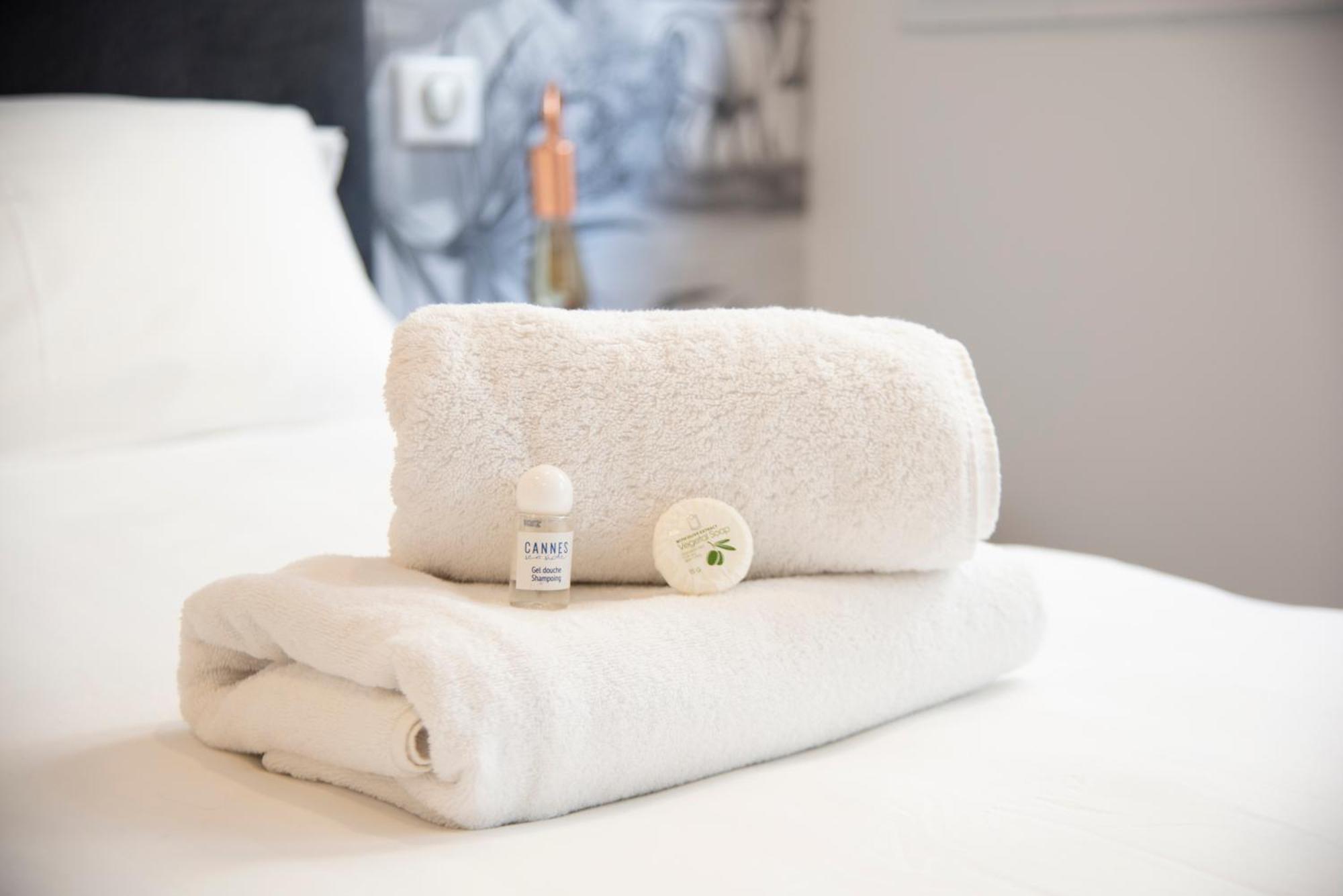 Luxurious Next To The Croisette And Palais Des Festivals *